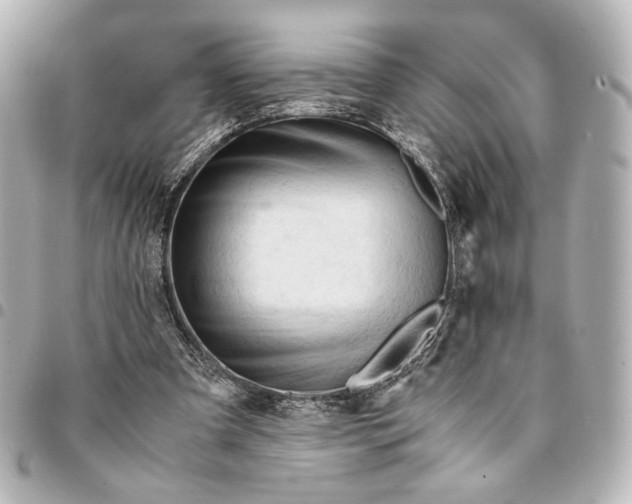 X0000095520297200712281506