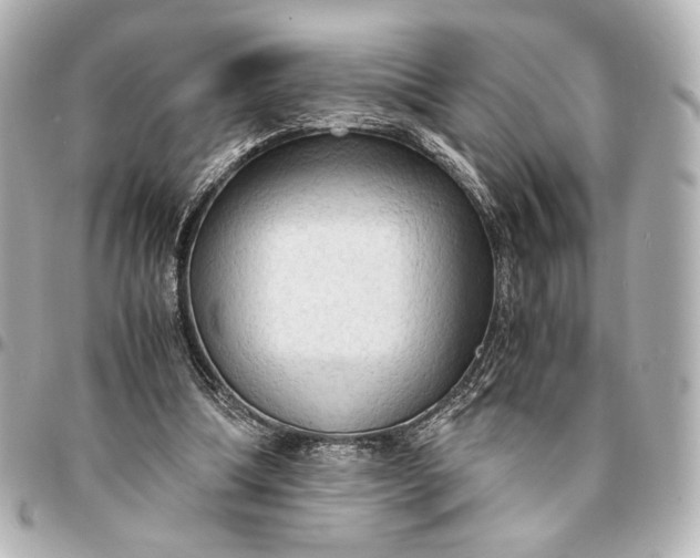 X0000095520298200712281506