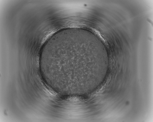 X0000095520299200712281506