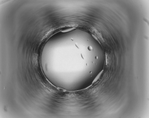 X0000095520300200712281506