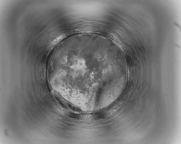 X0000095520301200712281506