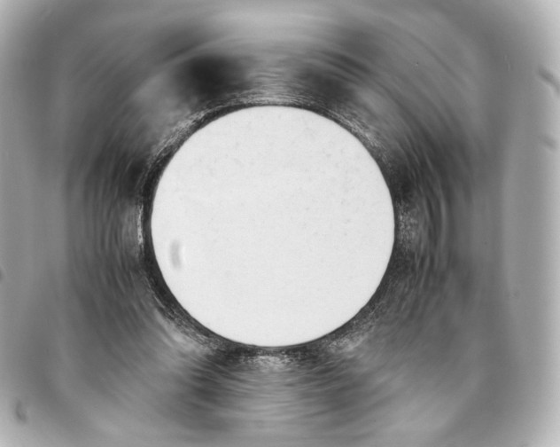 X0000095520302200712281506