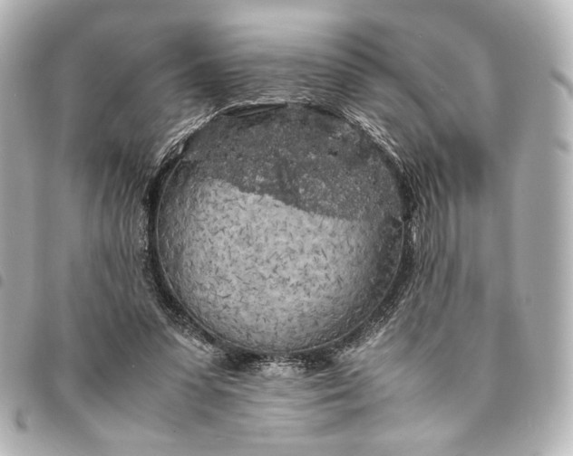 X0000095520303200712281506