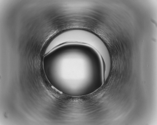 X0000095520304200712281506