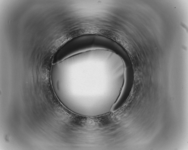 X0000095520305200712281506