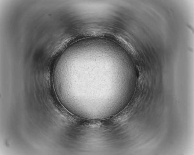 X0000095520306200712281506