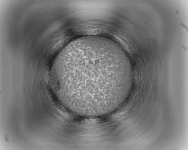 X0000095520307200712281506