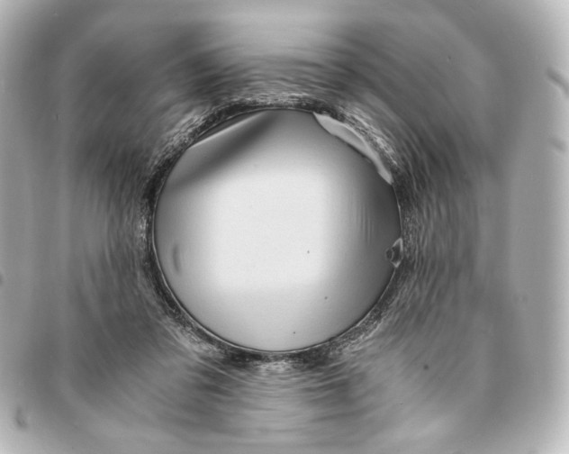 X0000095520309200712281506