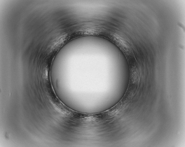 X0000095520310200712281505