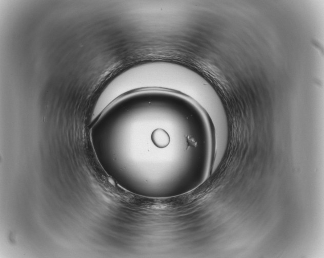 X0000095520312200712281505