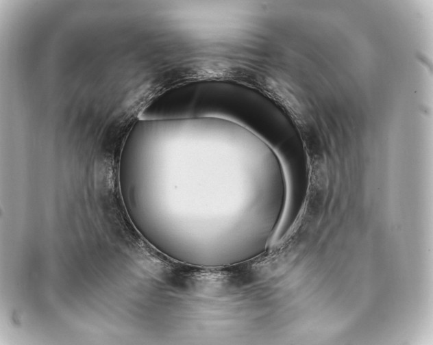 X0000095520313200712281505