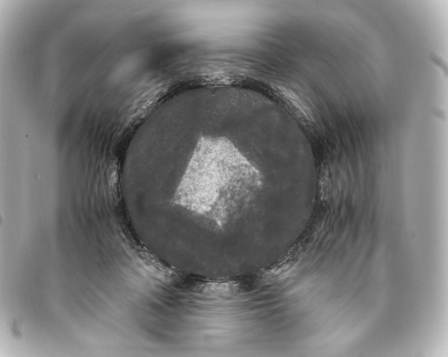 X0000095520314200712281505