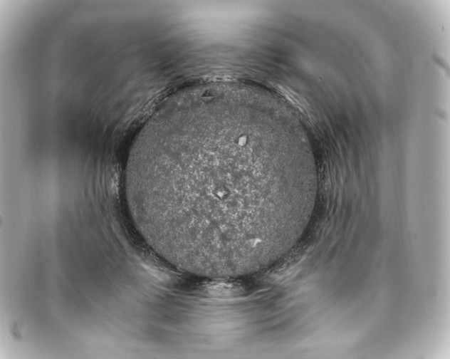 X0000095520315200712281505