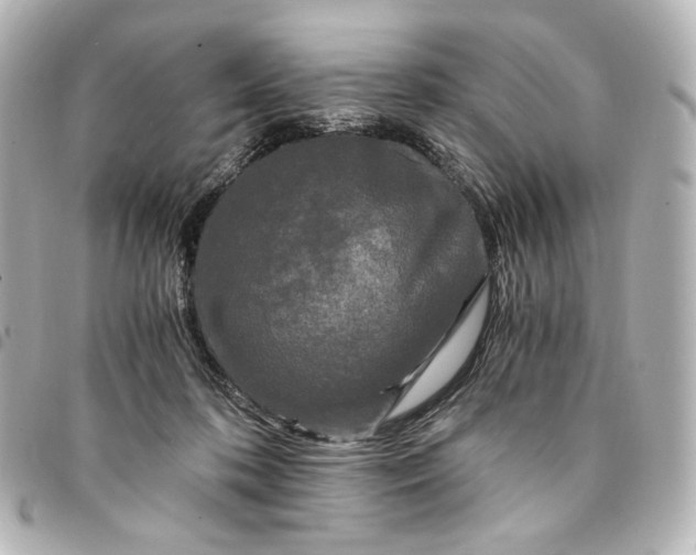 X0000095520316200712281505