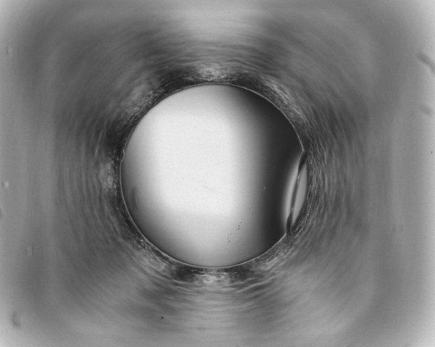 X0000095520317200712281505