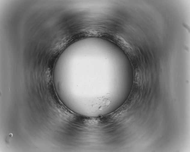 X0000095520318200712281505