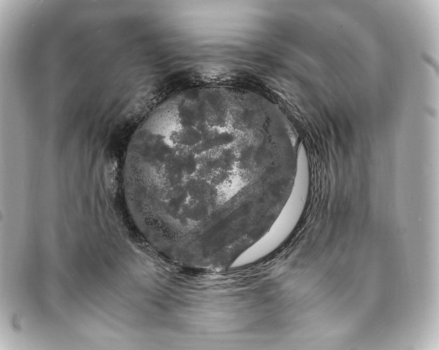 X0000095520319200712281505