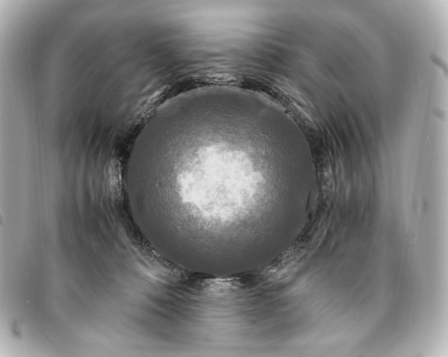 X0000095520320200712281505