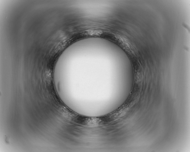 X0000095520321200712281505