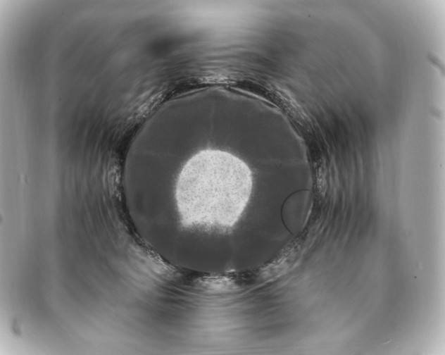 X0000095520322200712281505