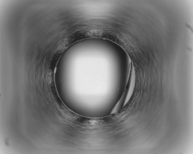 X0000095520323200712281505