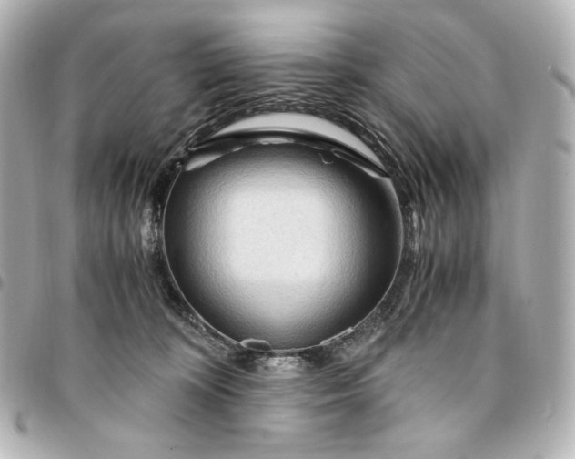 X0000095520324200712281505