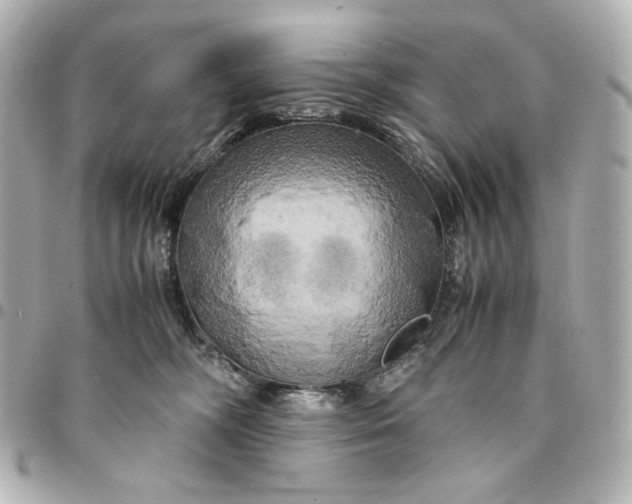 X0000095520326200712281505