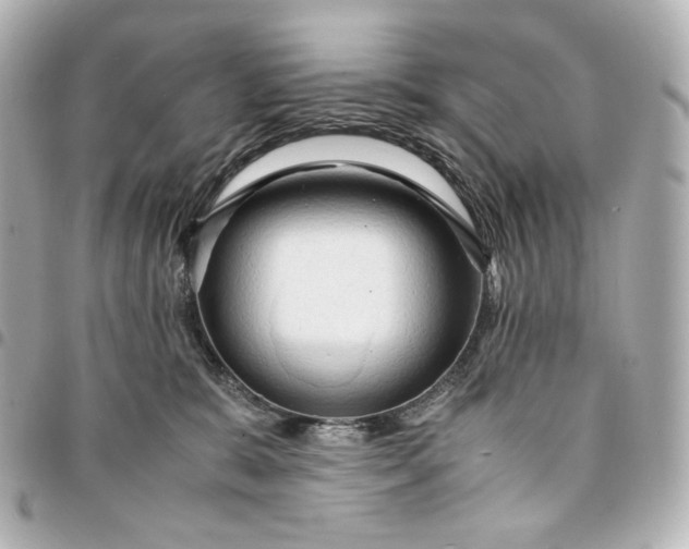 X0000095520327200712281505