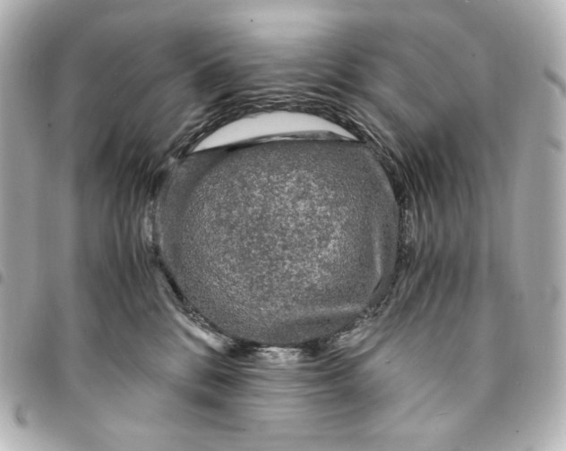 X0000095520328200712281505