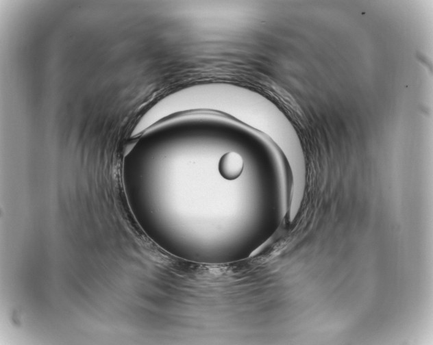 X0000095520329200712281505