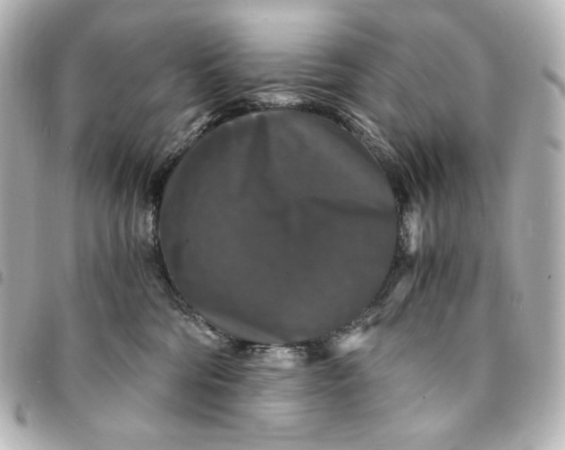 X0000095520330200712281505