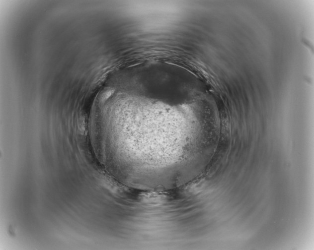 X0000095520331200712281505