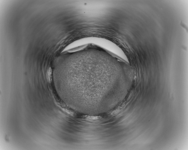 X0000095520332200712281505