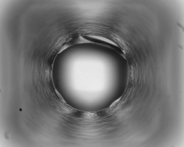 X0000095520333200712281505