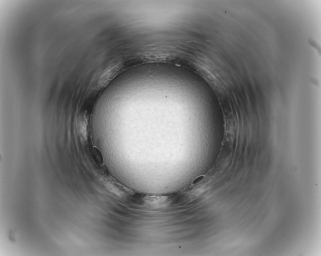 X0000095520334200712281505