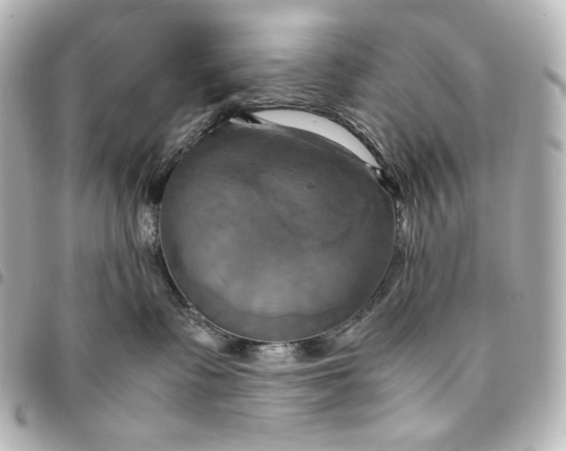 X0000095520335200712281505