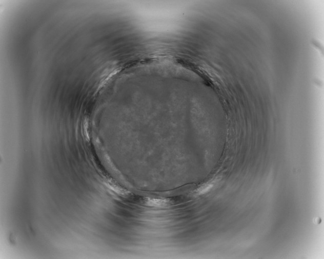 X0000095520336200712281505