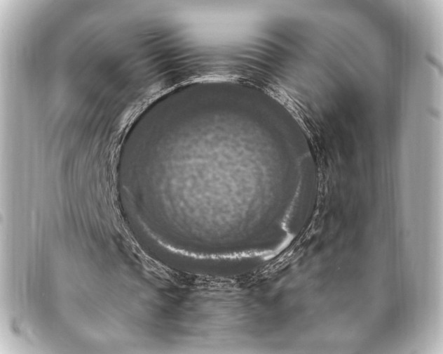 X0000095520337200712281504