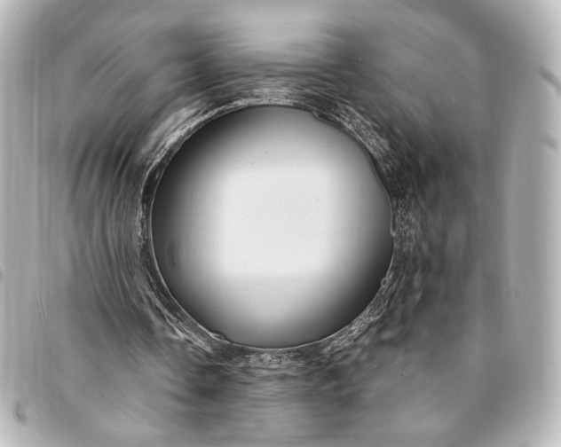 X0000095520338200712281504