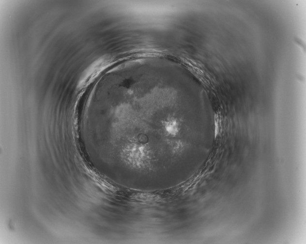 X0000095520339200712281504