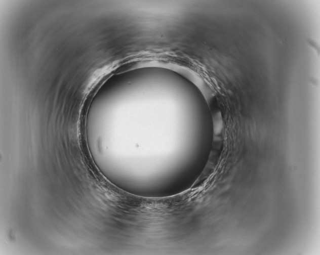 X0000095520340200712281504