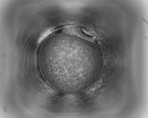 X0000095520341200712281504