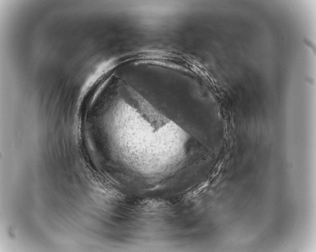 X0000095520343200712281504