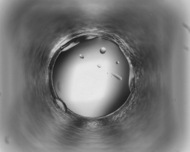 X0000095520344200712281504