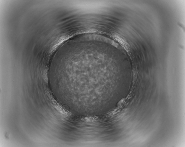 X0000095520345200712281505