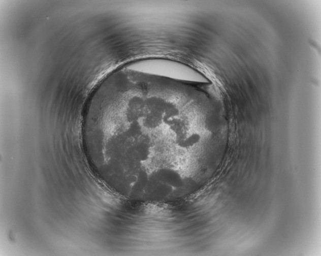 X0000095520346200712281505