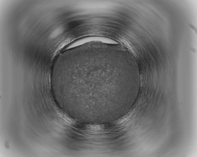 X0000095520349200712281505