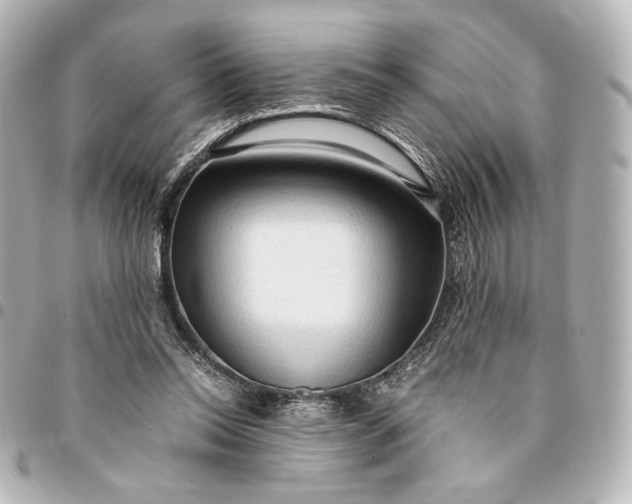 X0000095520350200712281505