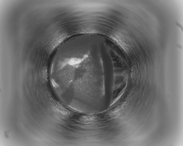 X0000095520351200712281505