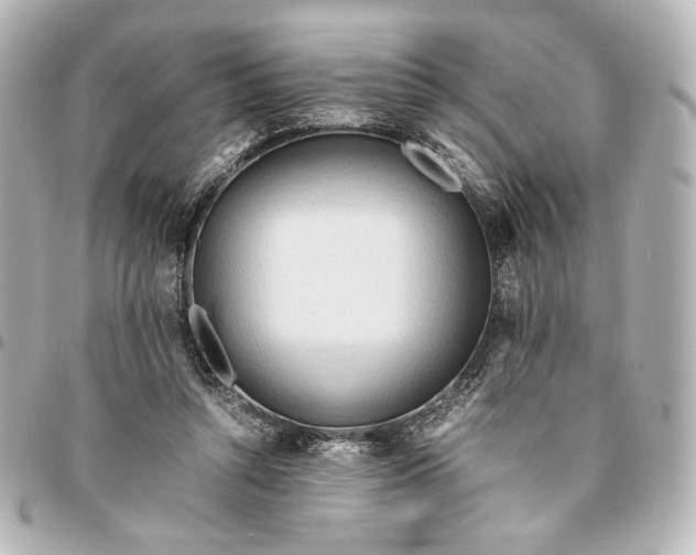 X0000095520352200712281505